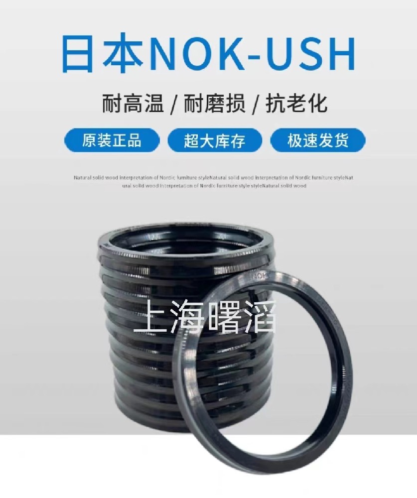 日本NOK丁腈骨架  USH型油封原裝品牌